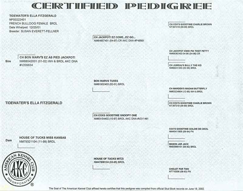 Ella's pedigree
